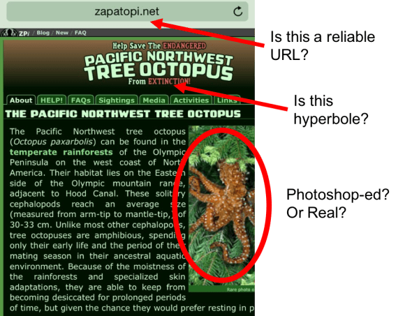 treeoctopus-marked
